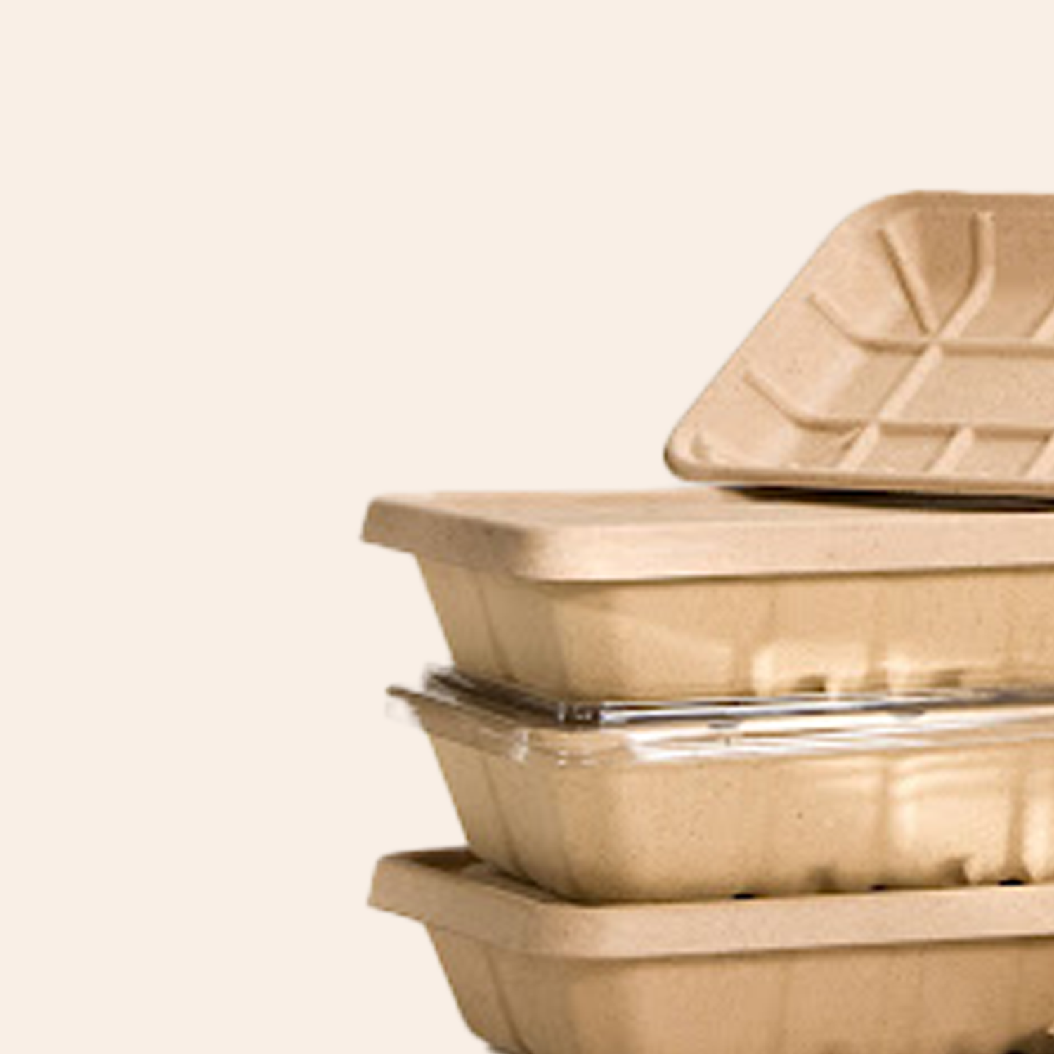 لوازم و ظروف یکبار مصرف