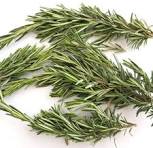 توضیح درباره قهوه خانه