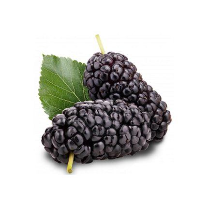 شاتوت منجمد پمینا کاله 2.5 کیلوگرم